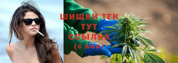 гидра Пересвет