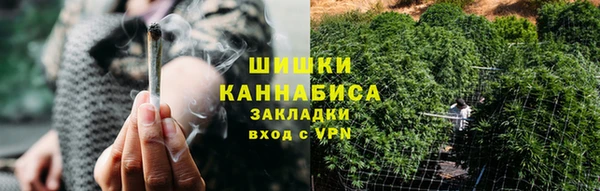 дмт Пестово