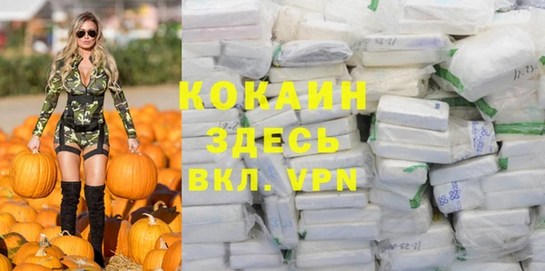 дмт Пестово