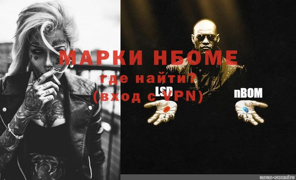 дмт Пестово