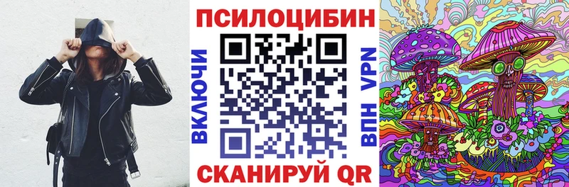блэк спрут онион  даркнет сайт  Ужур  Псилоцибиновые грибы мицелий 